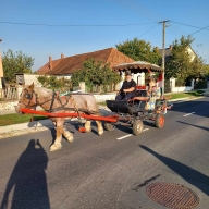 szuret2023_9_20231017